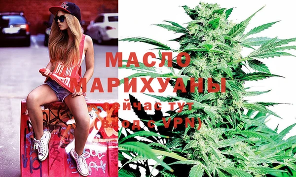 индика Новоульяновск