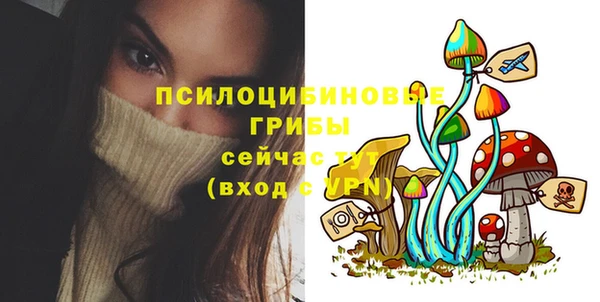 стафф Навашино