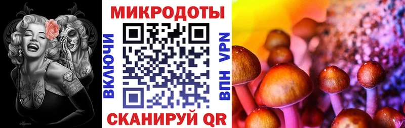 OMG tor Пудож Псилоцибиновые грибы ЛСД